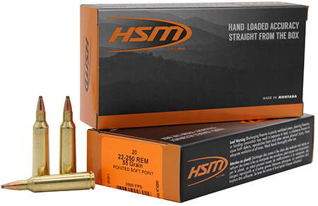 HSM Varmint Rem SP Ammo