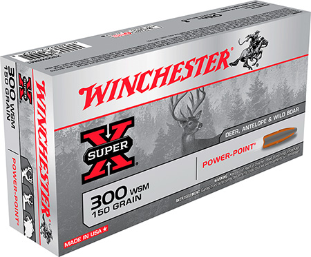 Winchester Super-X Power-Point PP 10 Ammo