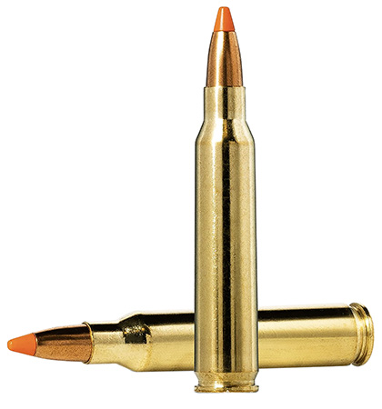 Norma Dedicated Hunting Varmint Polymer Tip Ammo