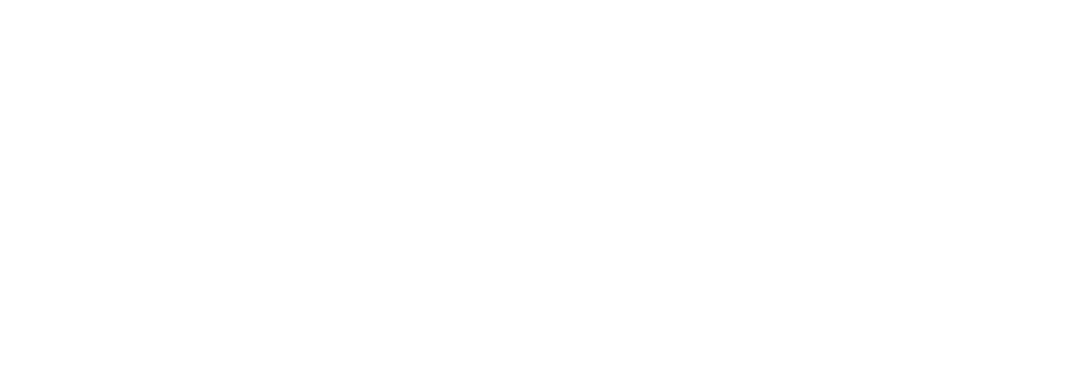 Sports South LLC