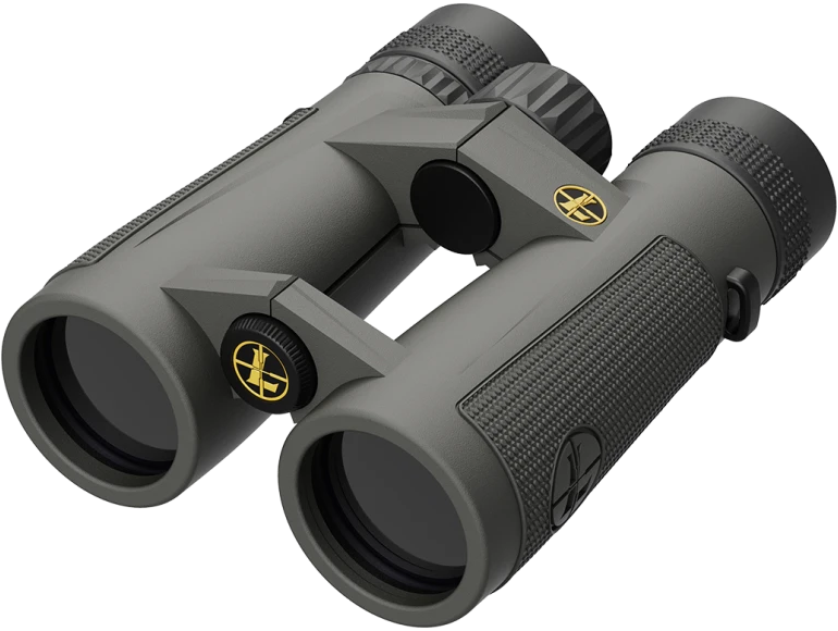 LEU 174483 BINO 10X42 BX-5 SANTIAM HD GRAY