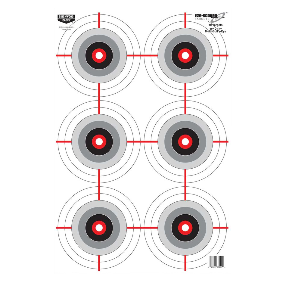 BIR 37209 EZESCORER 12X18 MLT BLLEYE 10PK