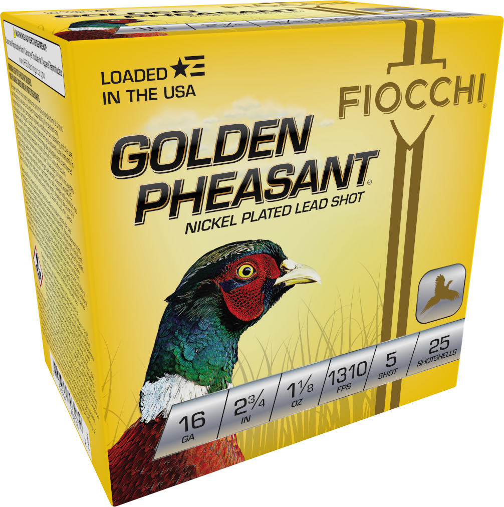 FIO 16GP5 GLD PHS 16 5SHT 11/8 25/10