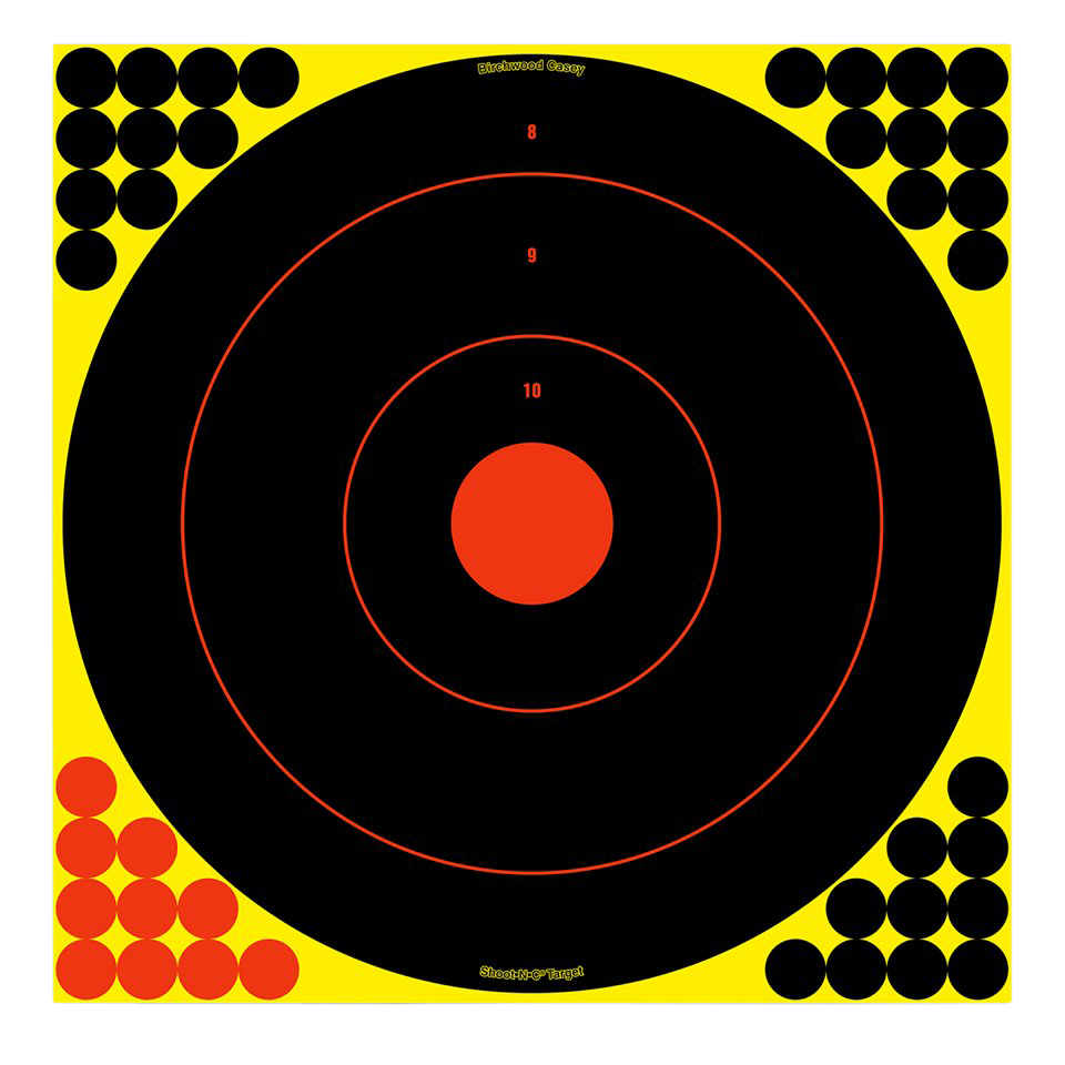 BIR 34170 SHOOT-N-C 17.25 BULLSE 100PK