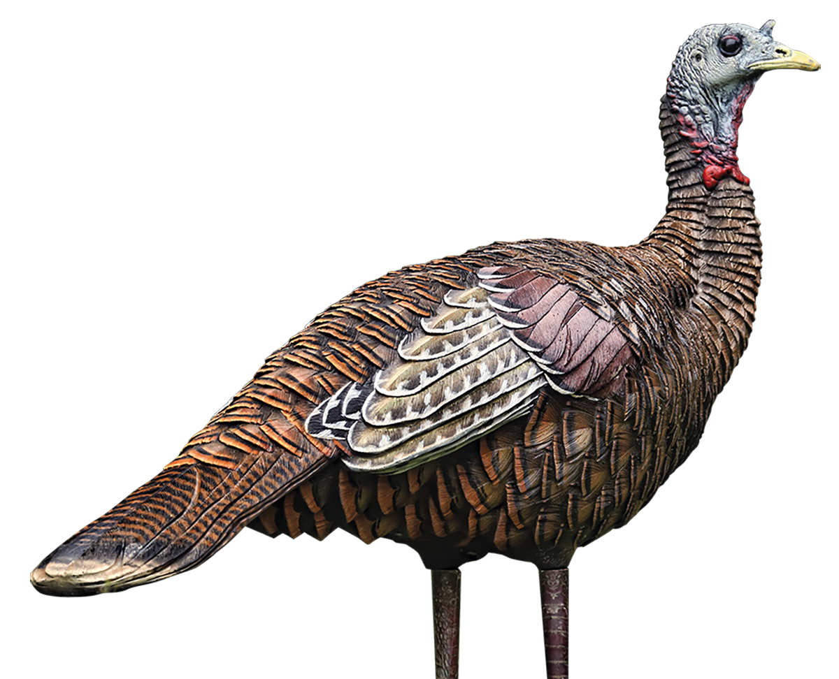 AVIAN AVXAVX8006 LCD LOOKOUT HEN DECOY