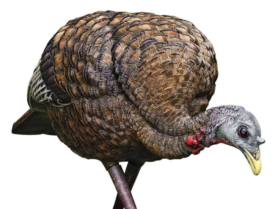 AVIAN AVXAVX8007 LCD FEEDER HEN DECOY