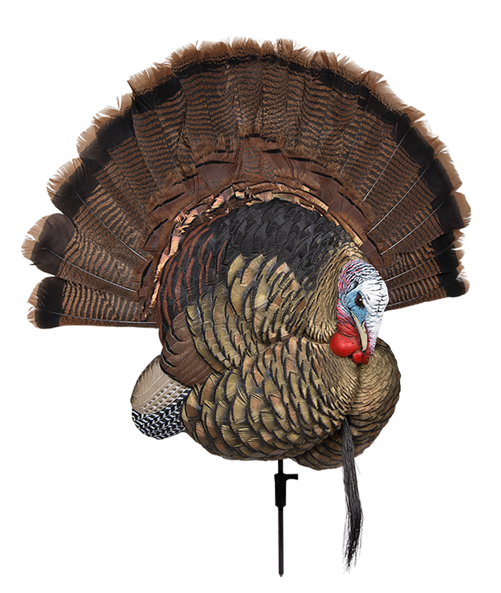 AVIAN AVXAVX8021 TROPHY TOM DECOY