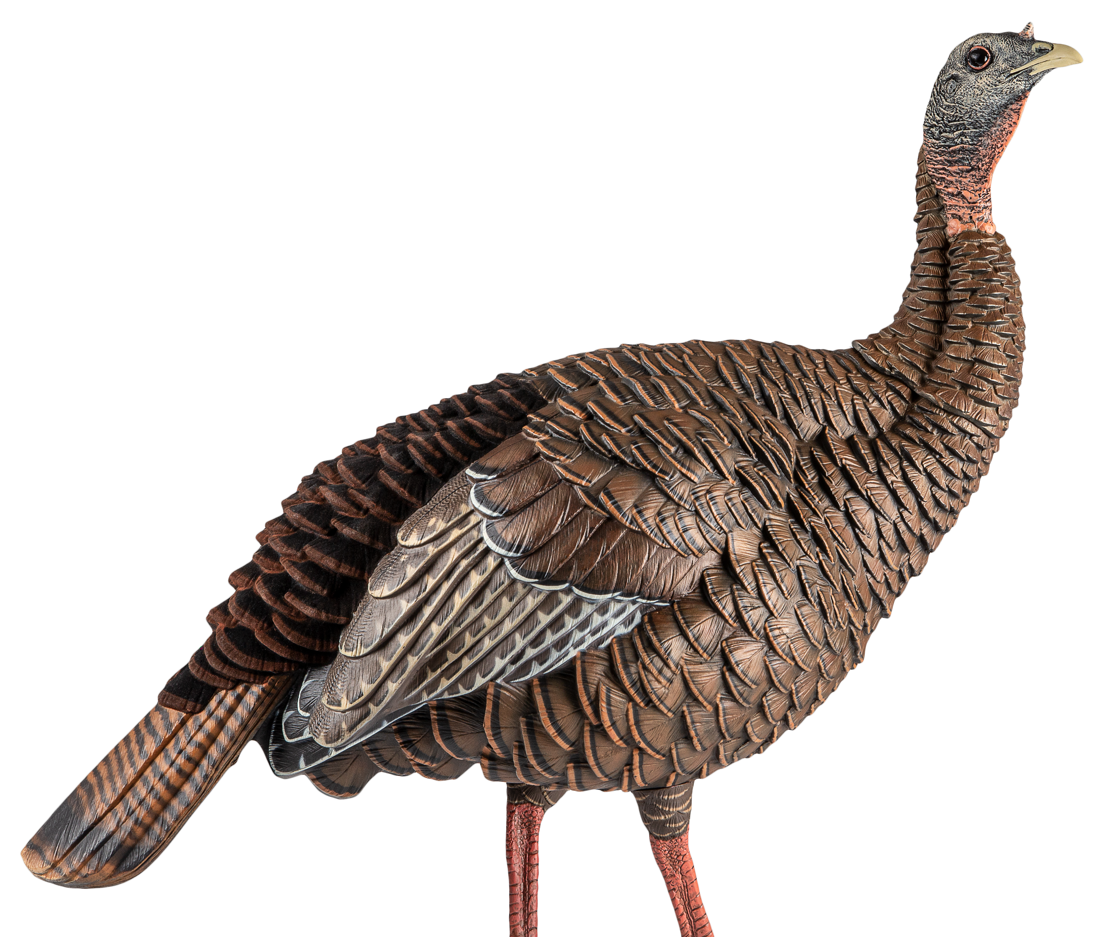AVIAN AVXAVX8106 HDR HEN DECOY