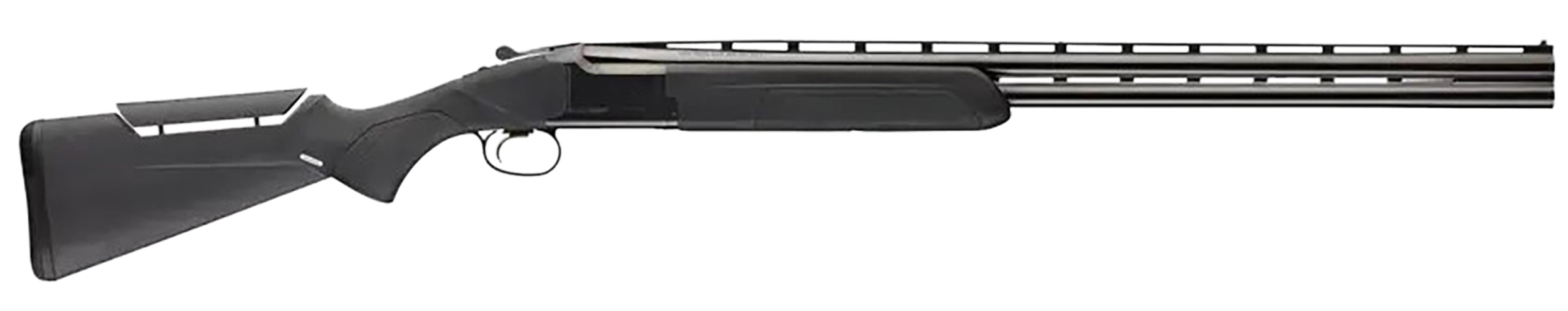 BRN 018331303 CIT COMPOSITE 12 3 30 BLK