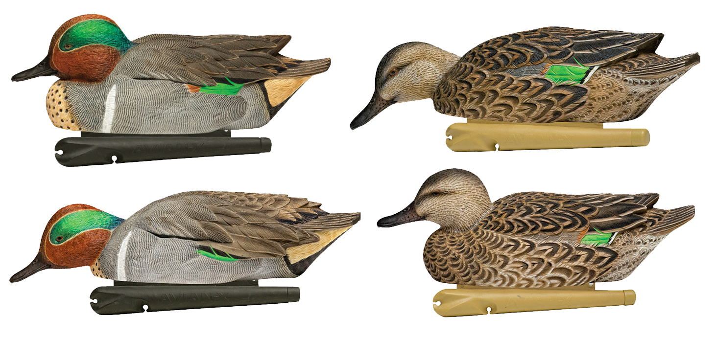 AVIAN AVX-AVX8081 TOPFLIGHT FLOATING GRWING TEAL