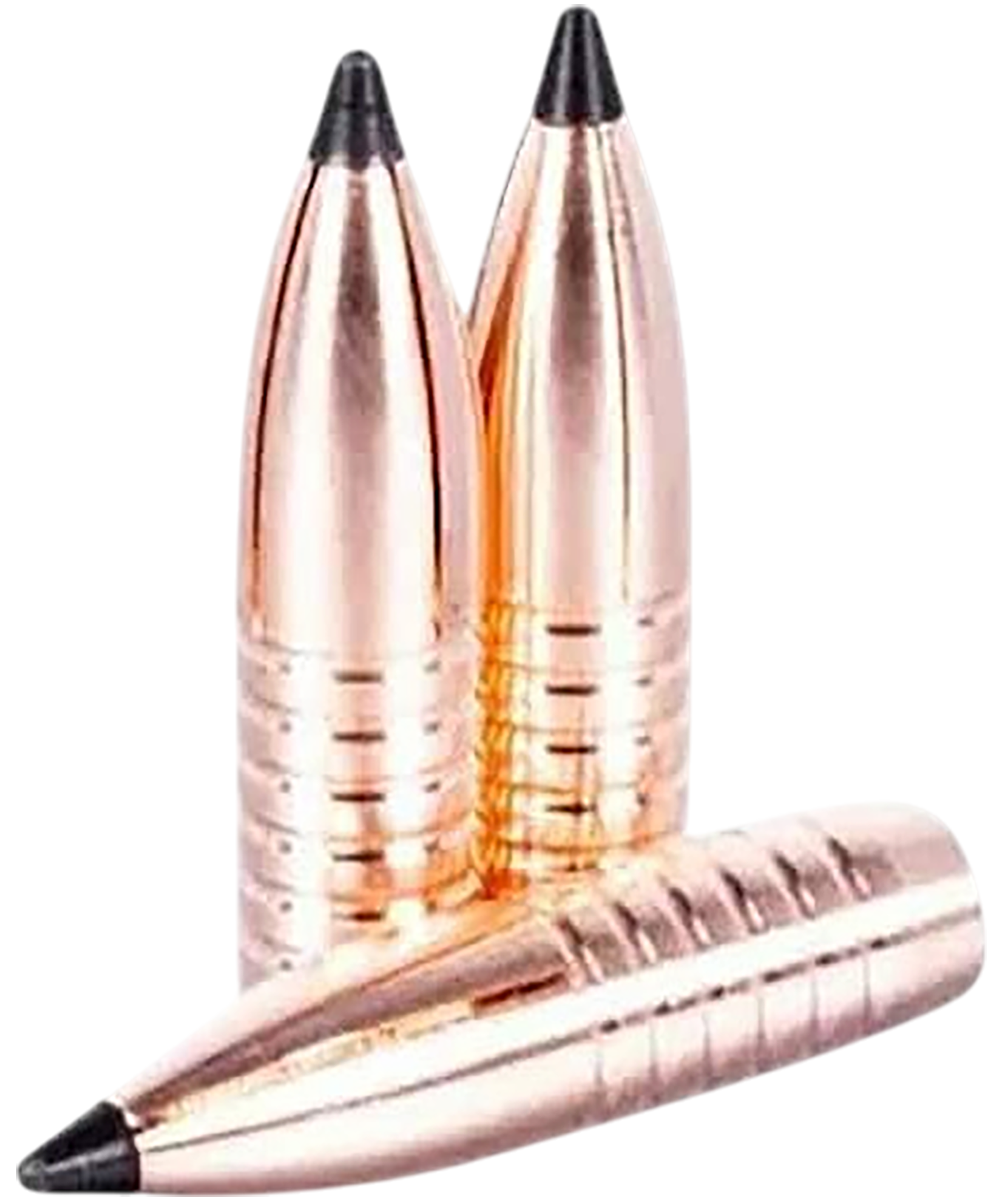 LEHIGH 18308155TXC .308 155G TXC 50/10