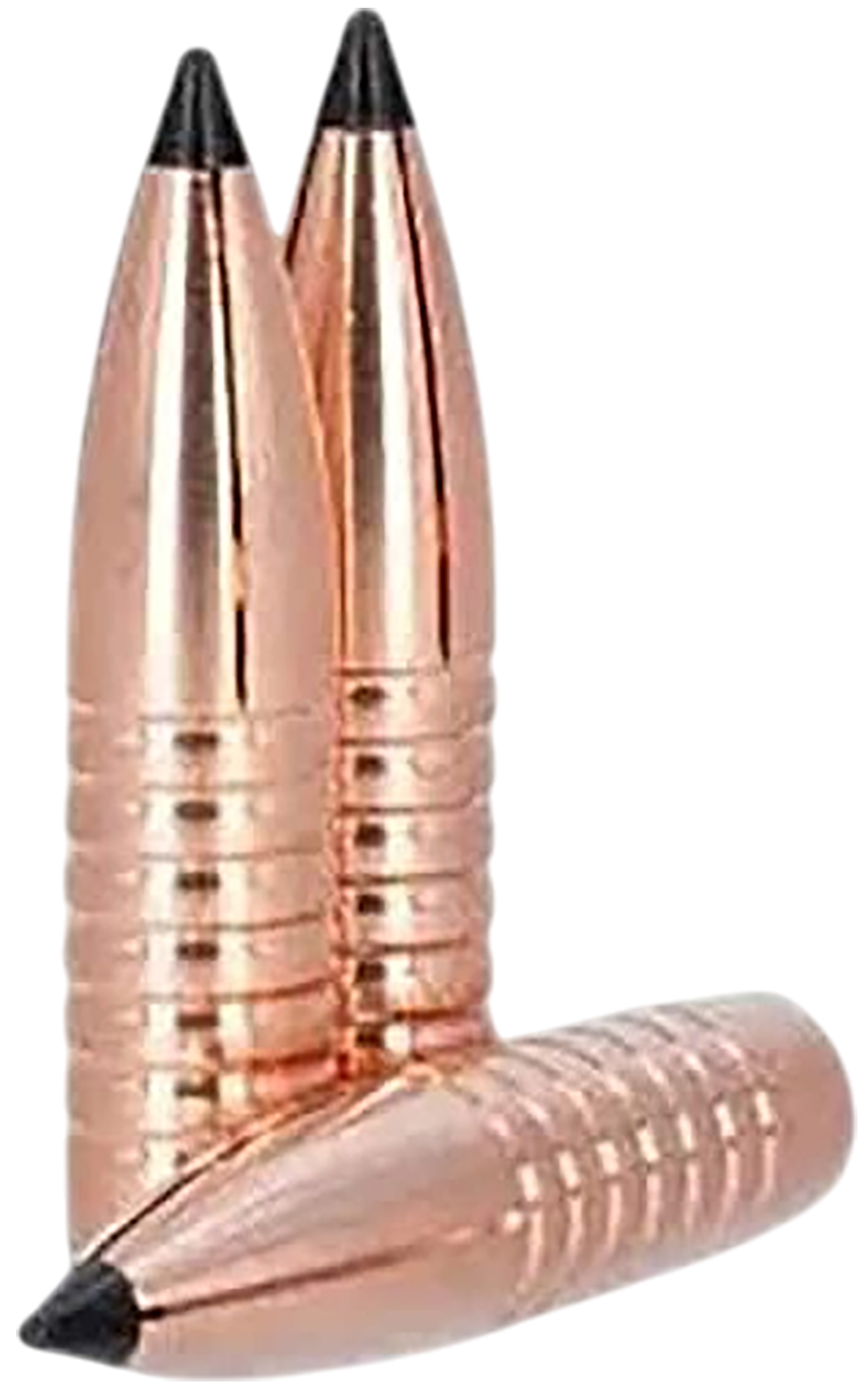 LEHIGH 18308165TXC .308 165G TXC 50/10