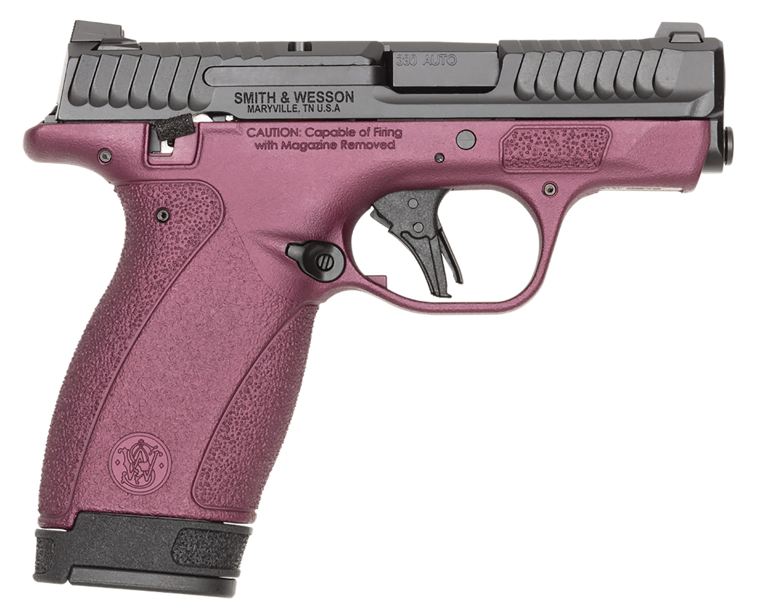 S&W BODYGRD 2.0 14661 380 TS H-319 BCF