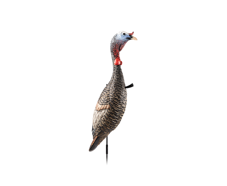 FLEXTONE FLX-FLXDY330 FUNKY CHICKEN GEN. 2