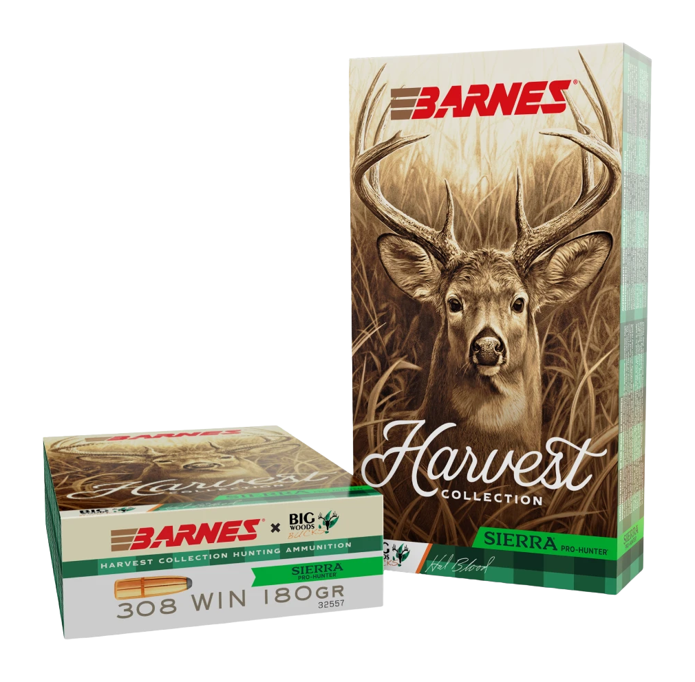 BRNS 32557 SIERRA PRO-HUNTER RN 308 180GR 20/10