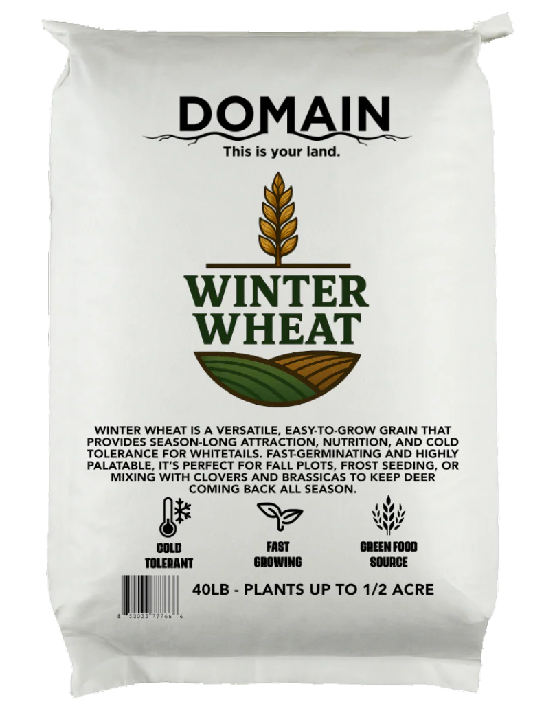 DOMAIN WWFP40 WINTER WHEAT