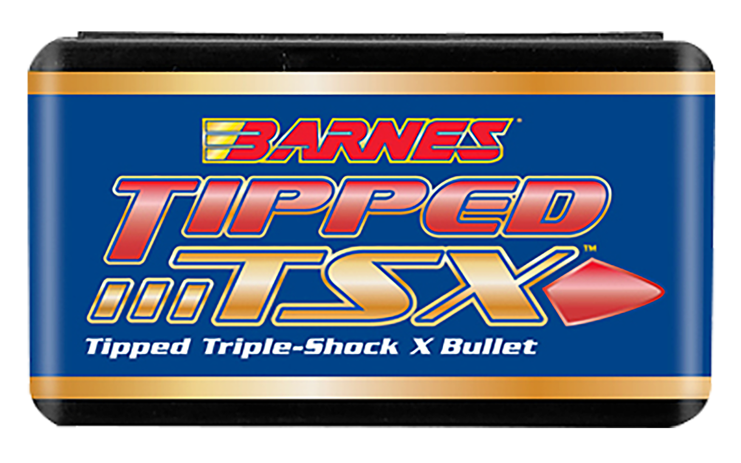 BRNS 30364 .308 130 TPD TSX BT 50