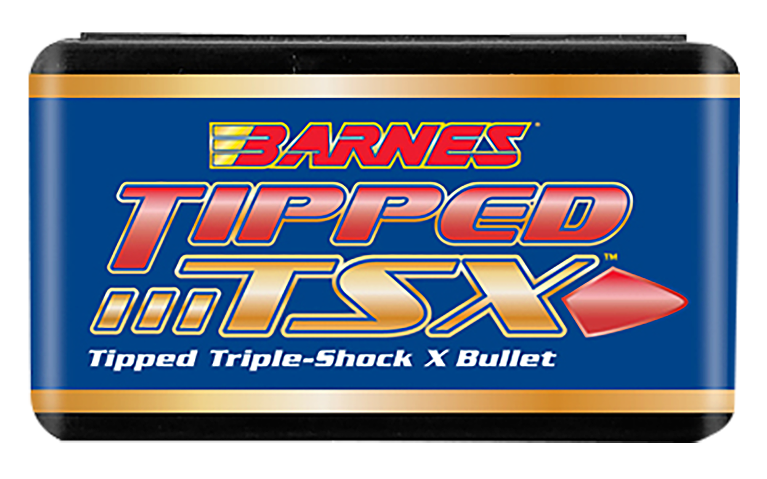 BRNS 30366 .308 150 TPD TSX BT 50