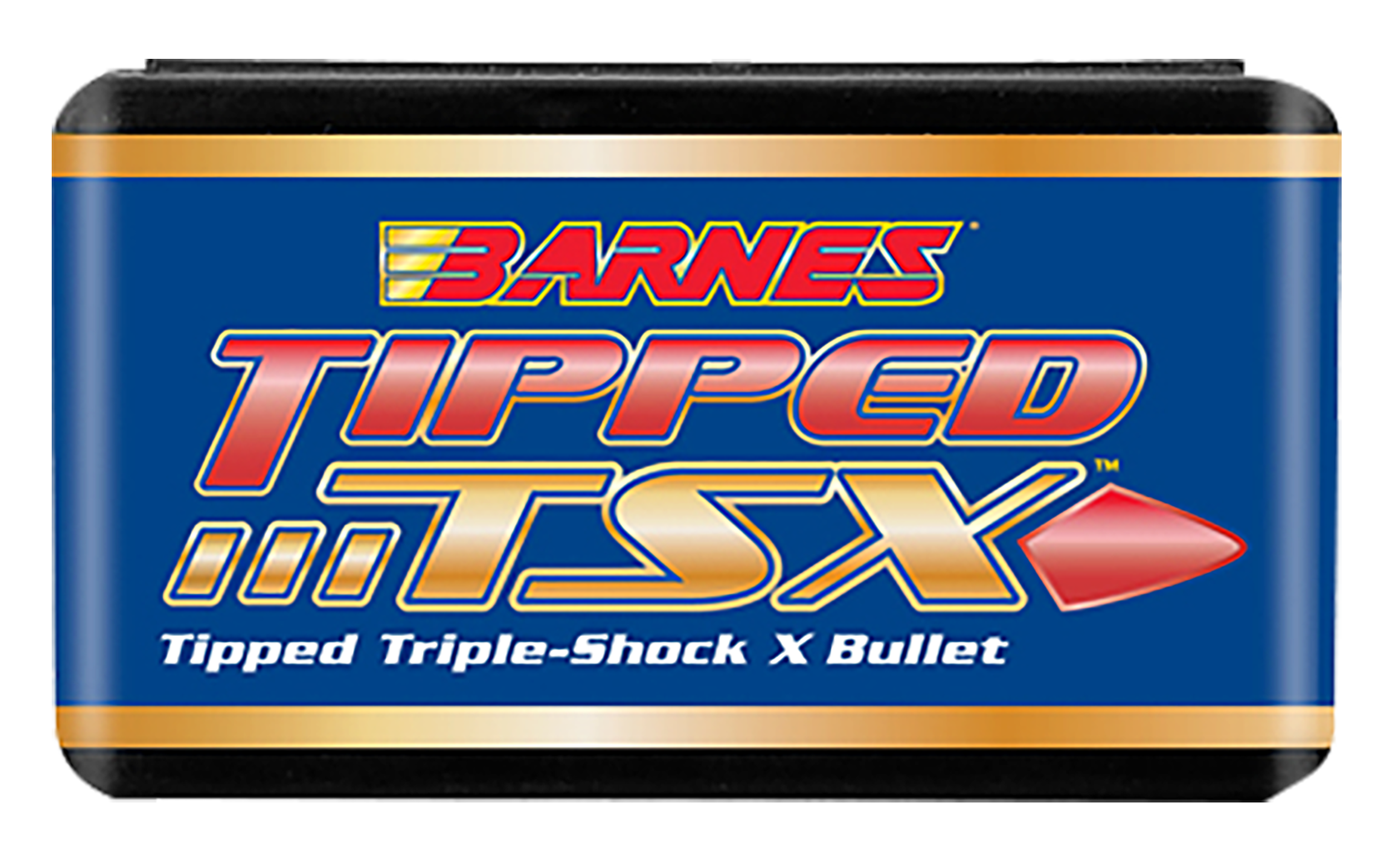 BRNS 30370 .308 168 TPD TSX BT 50