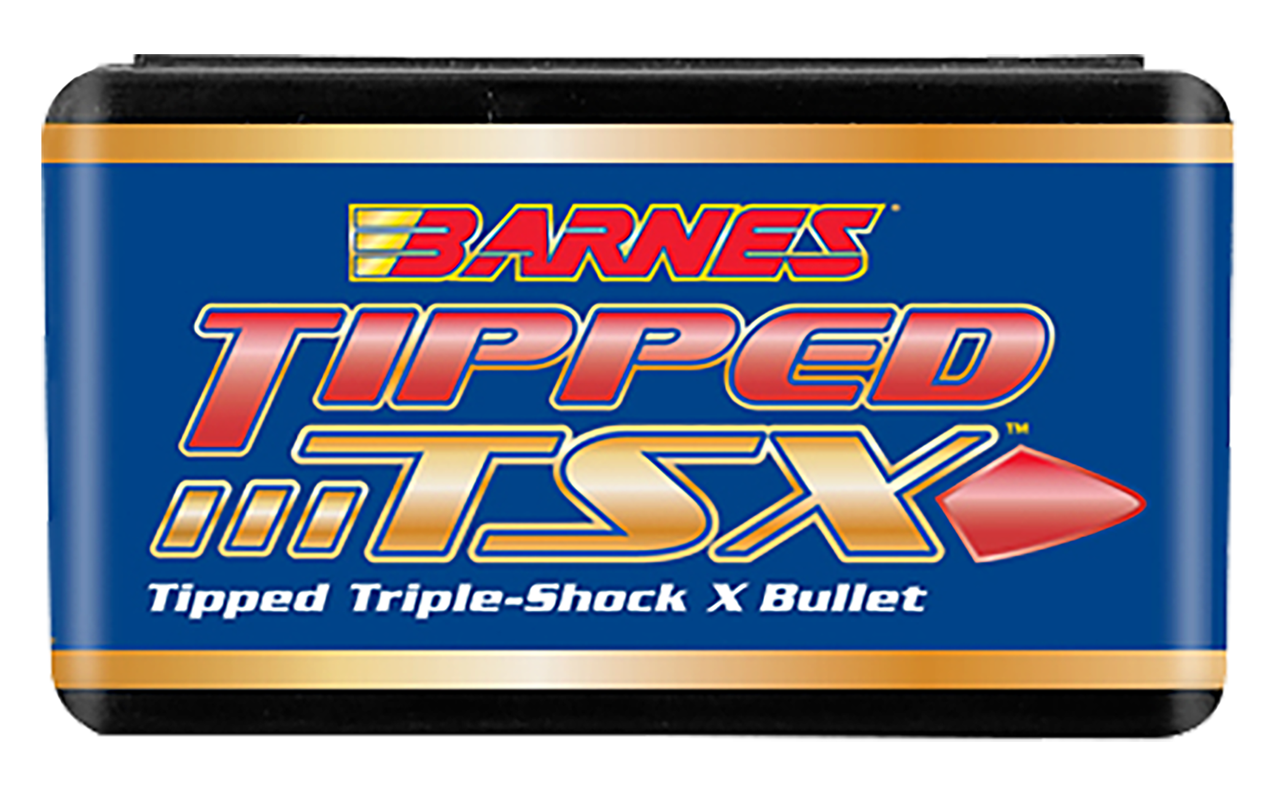 BRNS 30424 .338 160 TPD TSX FB 50