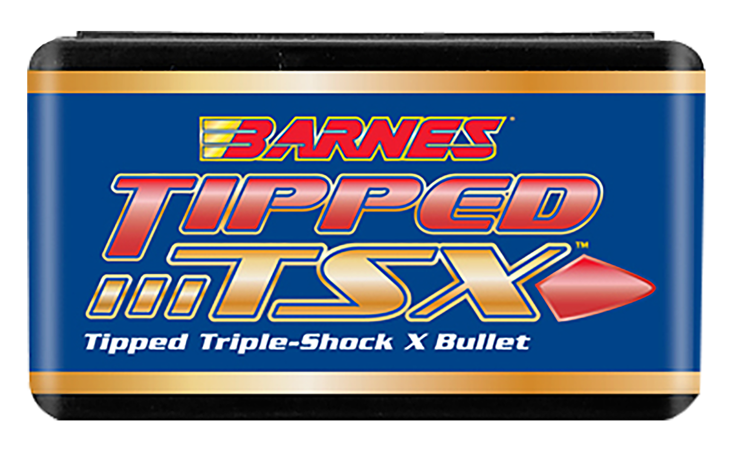 BRNS 30372 .308 180 TPD TSX BT 50