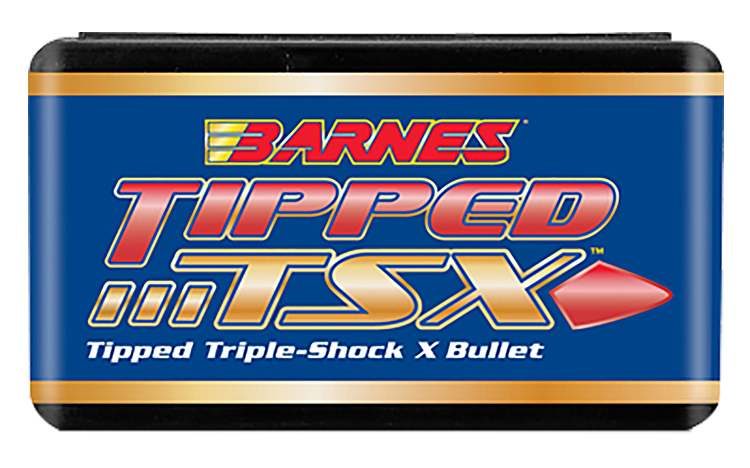 BRNS 30362 .308 110 TPD TSX FB 50