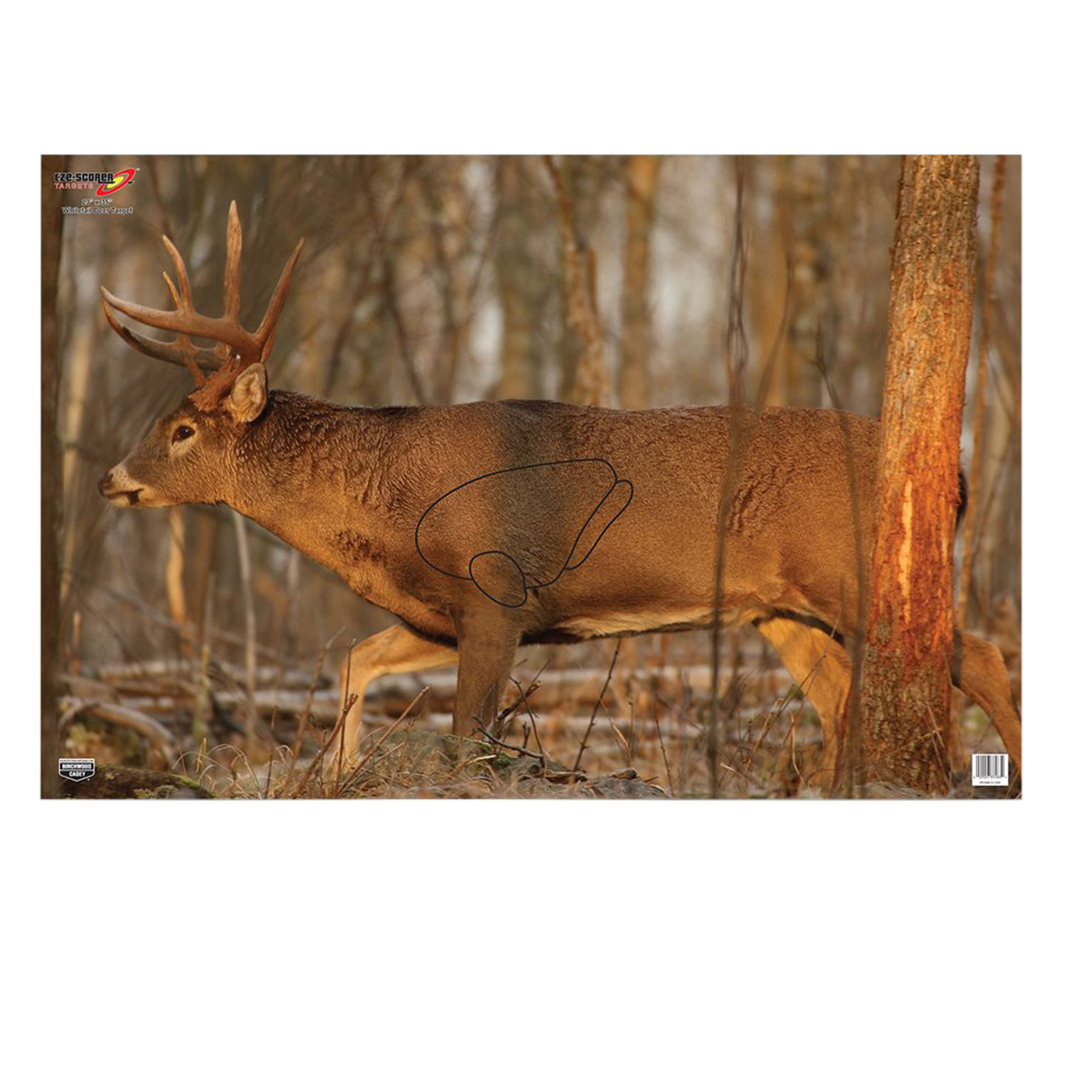 Birchwood Casey 37481 EZE-Scorer  Whitetail Deer Paper Hanging 23 x 35 Multi-Color 2 Per Pkg