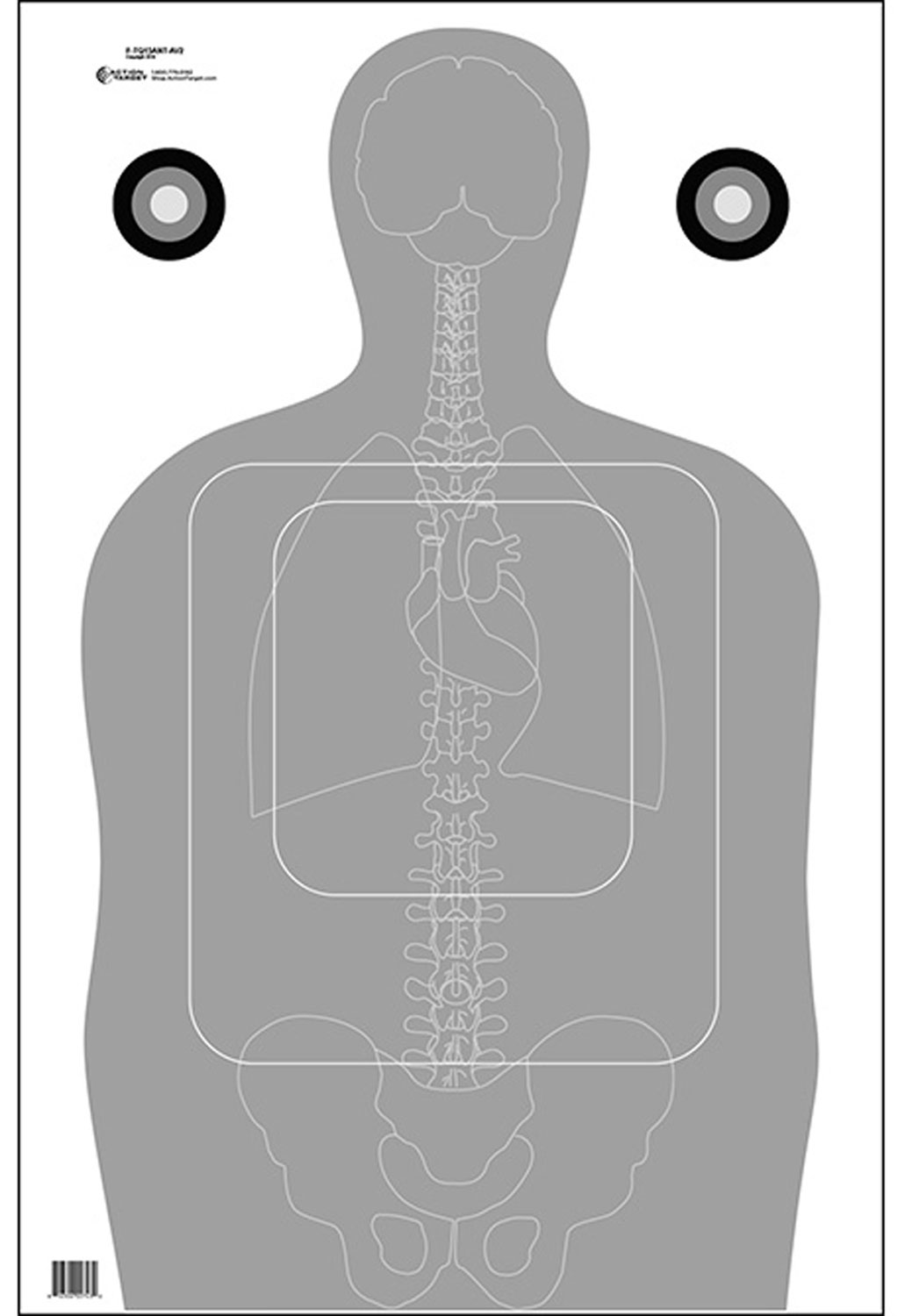 Action Target FTQ15ANTAV2100 Qualification Silhouette/Vitals Paper 23 ...