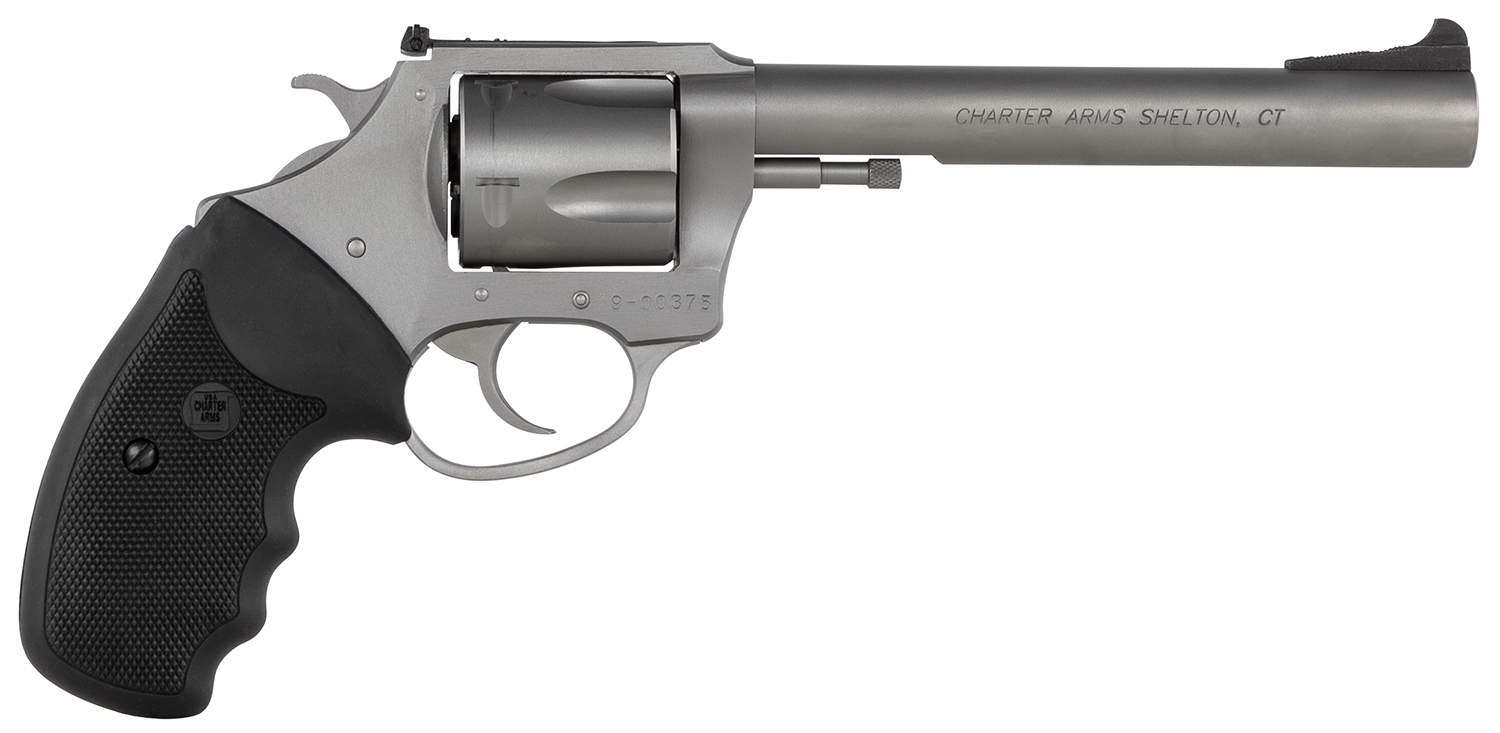 Charter Arms Target Bulldog .44 Special 6" Barrel Stainless Steel Revolver - CHARTER ARMS - 44 S&W Spl