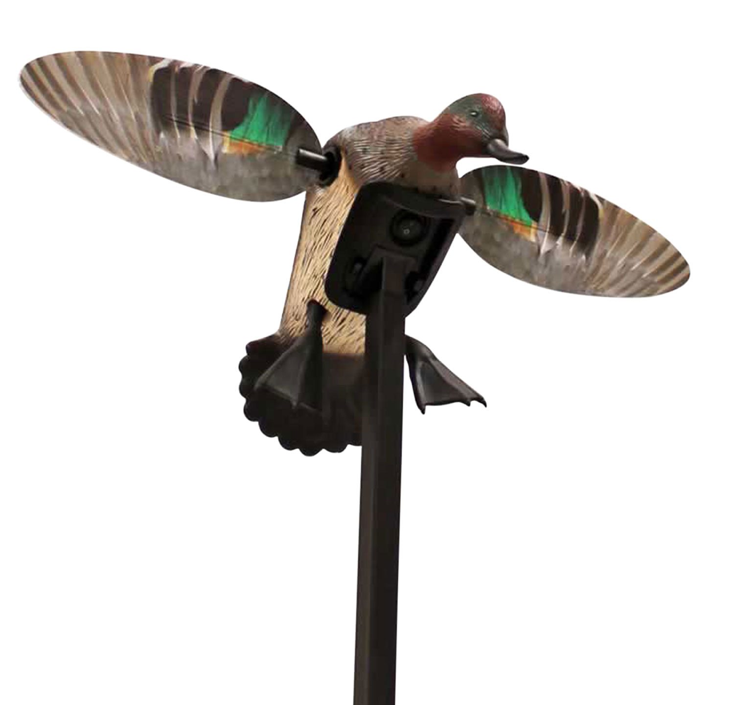 Mojo Outdoors HW24743P Elite Green Winged Teal Decoy, Realistic Design