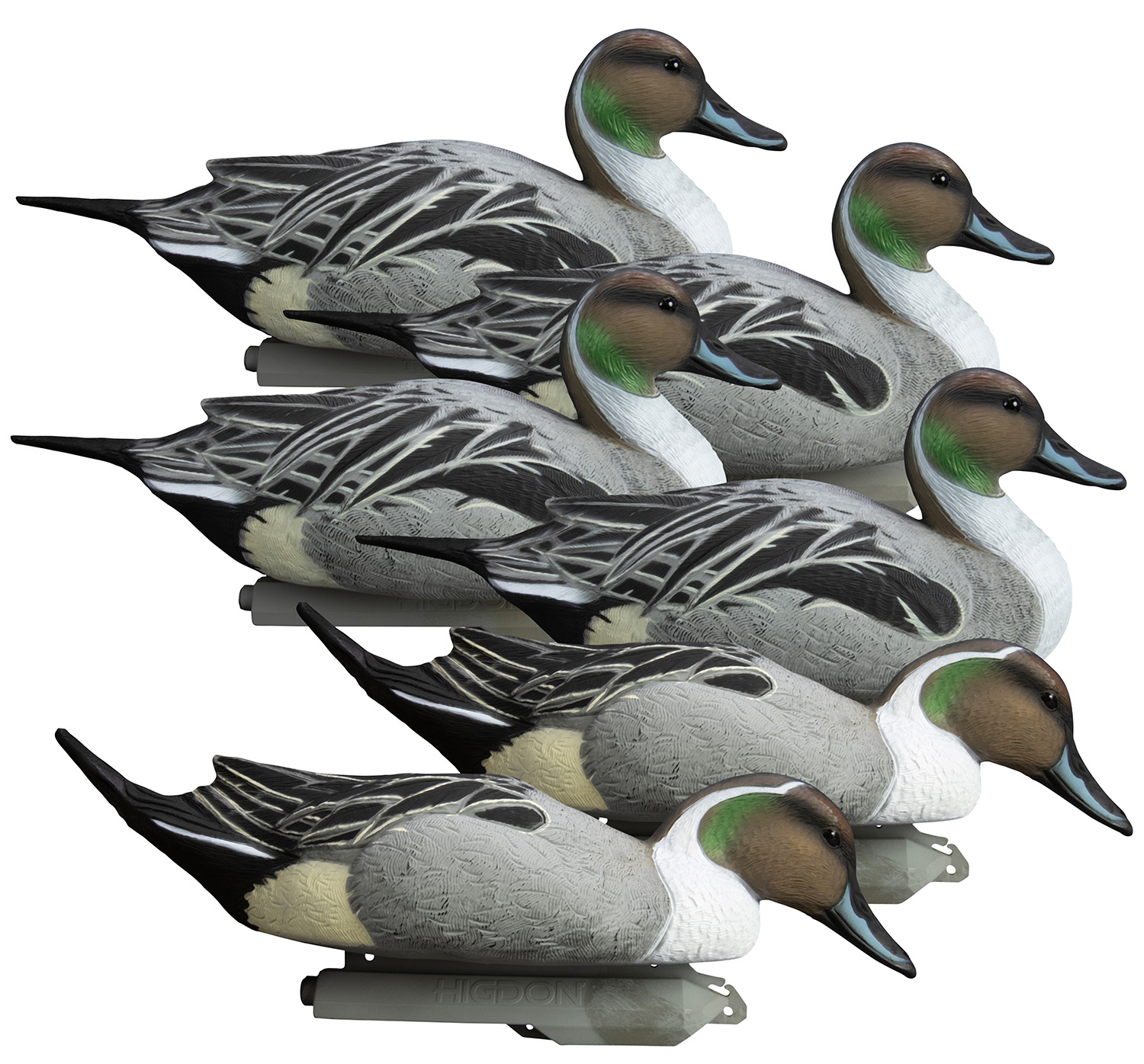 Higdon Outdoors Battleship Pintail Decoy Set: 6 Pack, Foam Filled ...