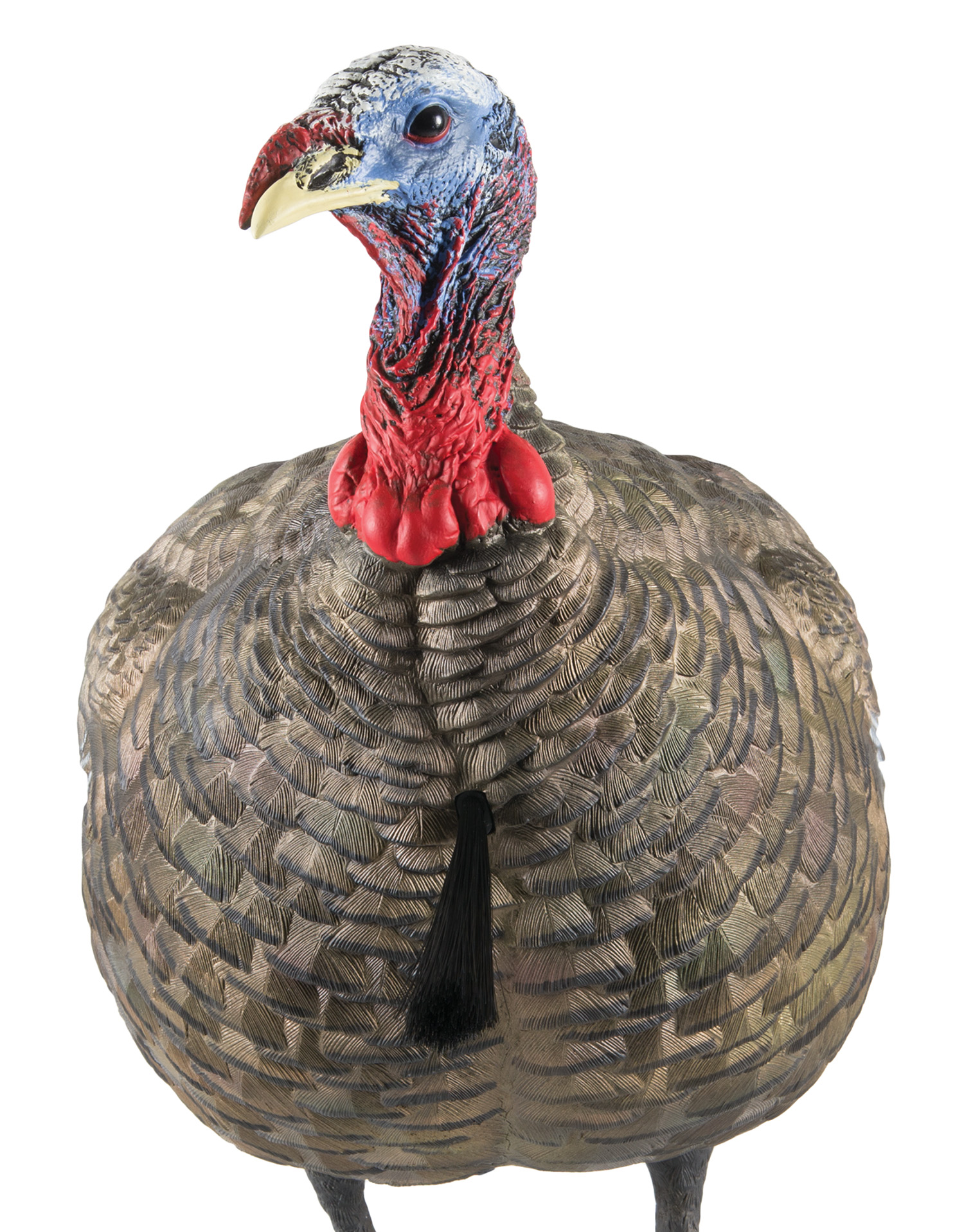 Avian X LCD Quarter Strut Jake Decoy - Lifelike Turkey Hunting Decoy - GSM Outdoors - TURKEY for sale at TheGunDock