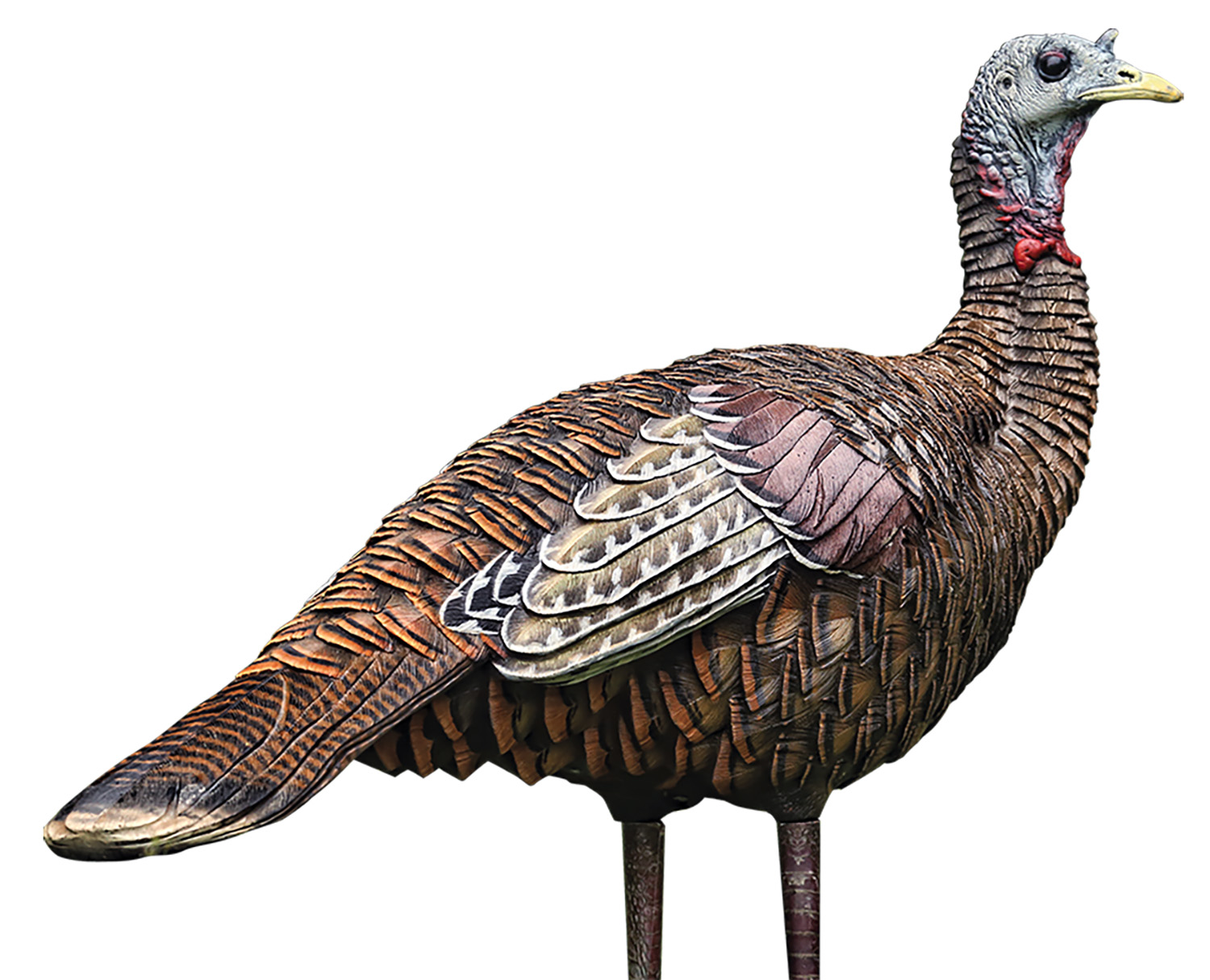 Avian X AVXAVX8006 LCD Lookout Hen Turkey Decoy Multi Color Dura-Rubber