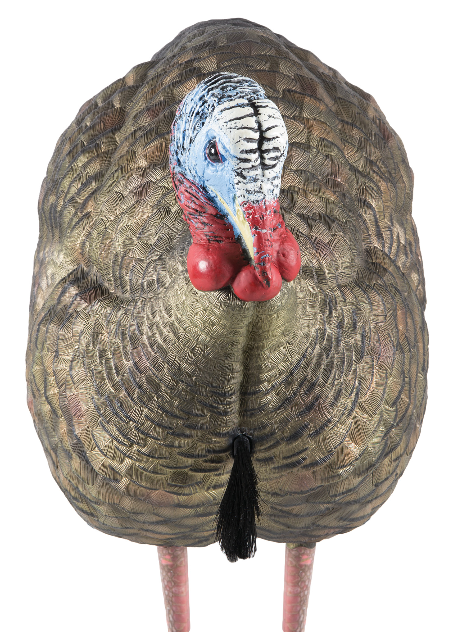 Avian X Turkey Decoy 1/2 Strut Jake Model: FG-DCOY-68012 - GSM Outdoors - TURKEY for sale at TheGunDock