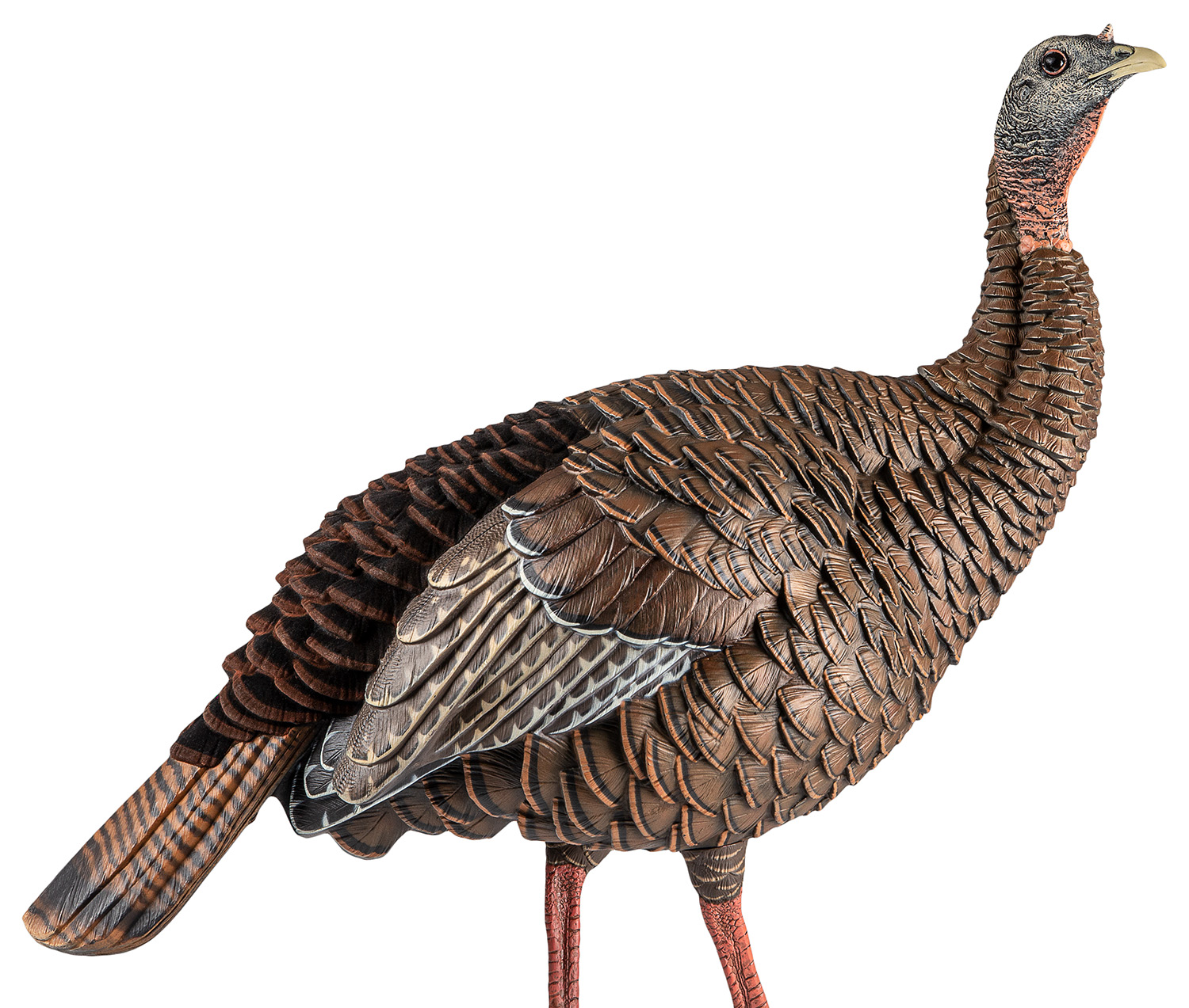 Introducing the Heavy-Duty Realism Hdr line of turkey decoys. Blow-molded i