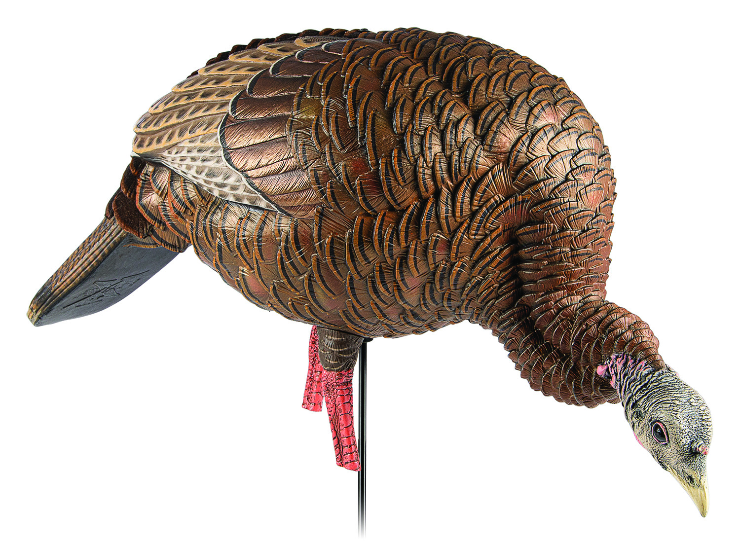 Avian X HDR Feeder Hen Turkey Decoy - Realistic Multi-Color Design - Avian-X - TURKEY