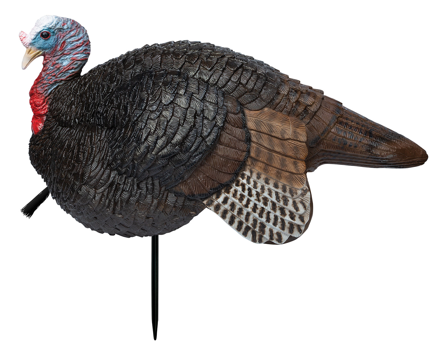 Primos Lil Gobstopper Jake Turkey Decoy 69074 Multi Color Lightweight