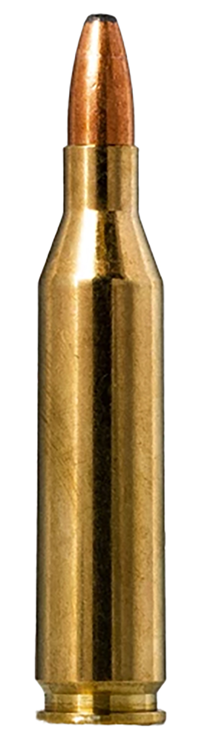 Norma Ammunition 20160332 Oryx 243 Win 100 gr 20 Per Box/ 10 Case-img-0