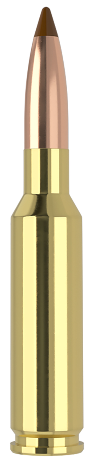 Nosler Ballistic Tip Rifle Ammunition 6.5x55 S Mauser 140 gr. 20 rd.