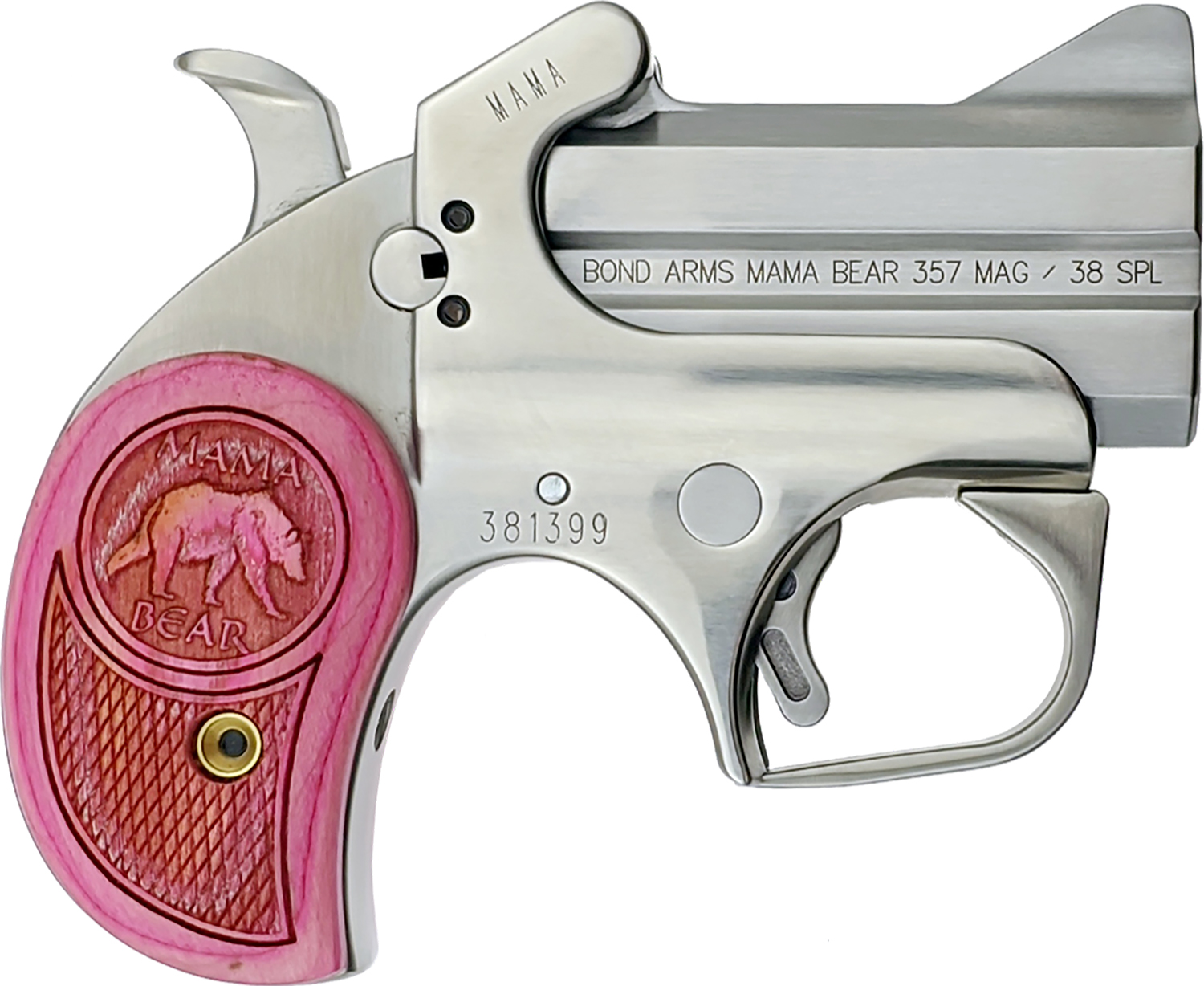 Bond Arms BAMB Mama Bear 357 Mag/38 Special 2rd 2.50" Stainless Steel...-img-0