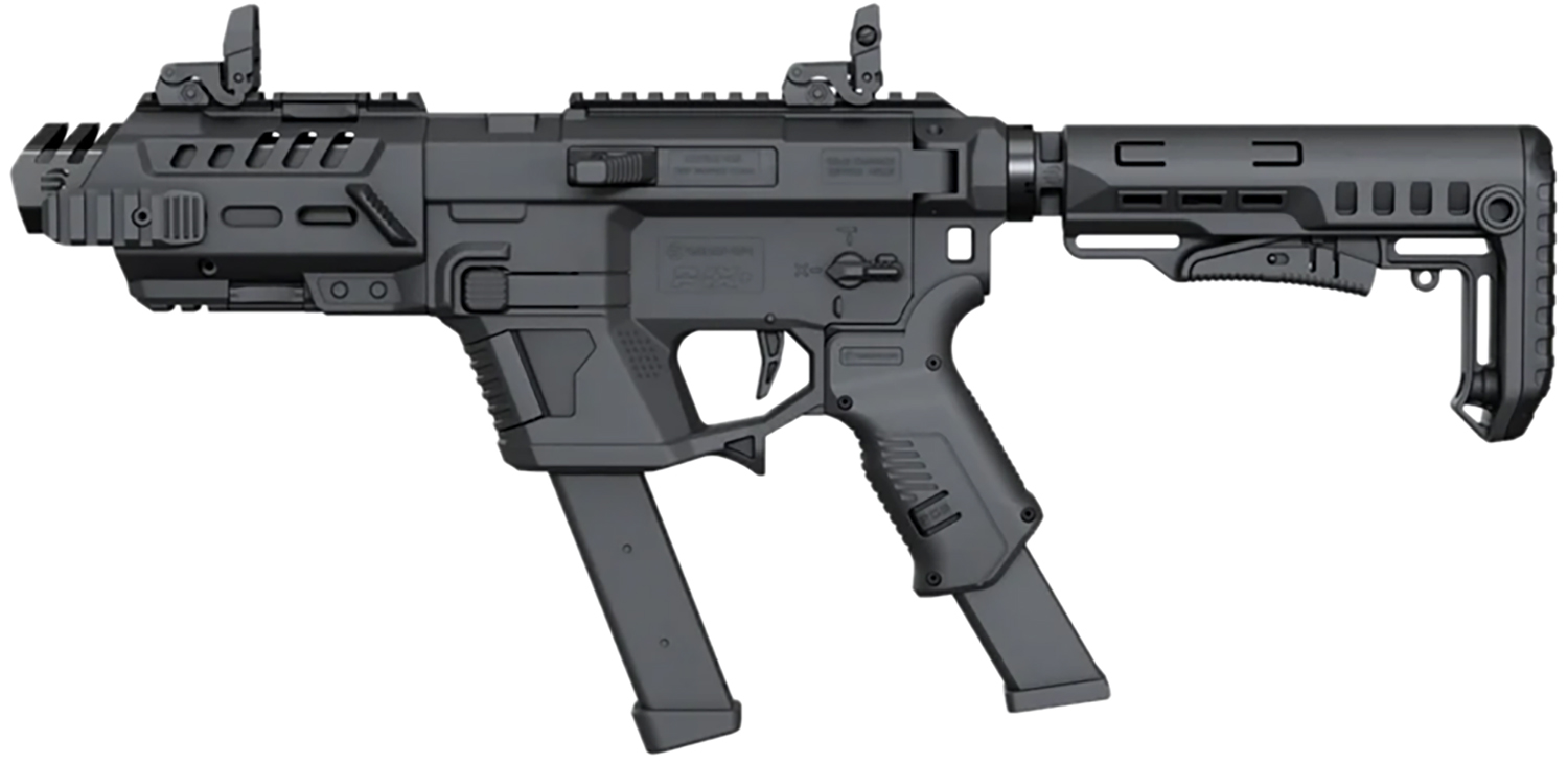 Rec PIXB-01 Pix+Basic AR Platform GLK Black