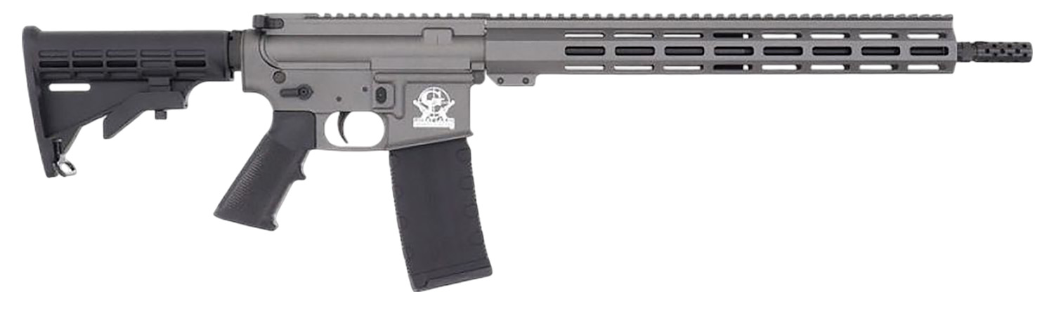 Great Lakes Firearms & Ammo AR 15 Semi-Auto Rifle 223Rem