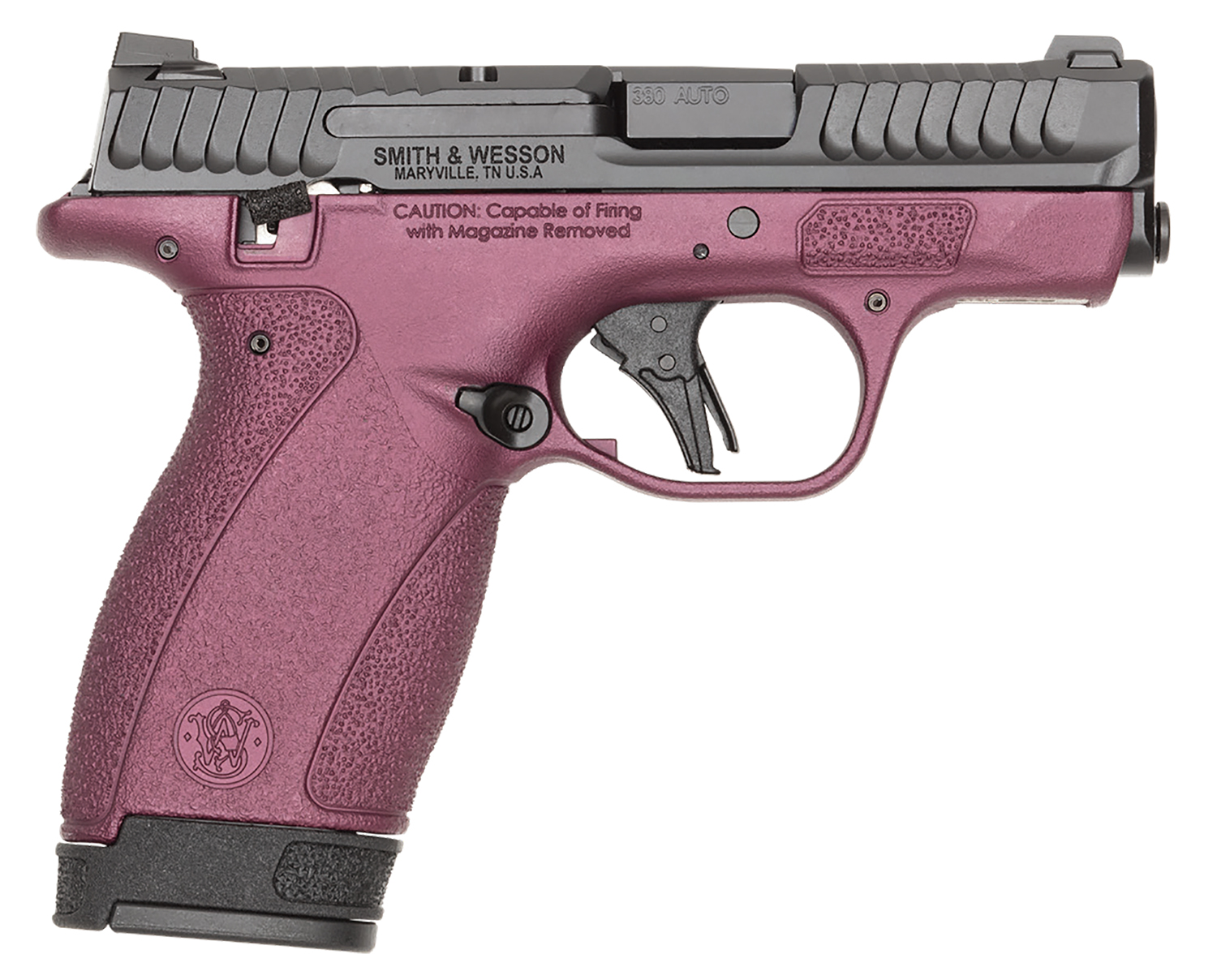 S&W BODYGRD 2.0 380ACP 14661 TS H-319 BCF