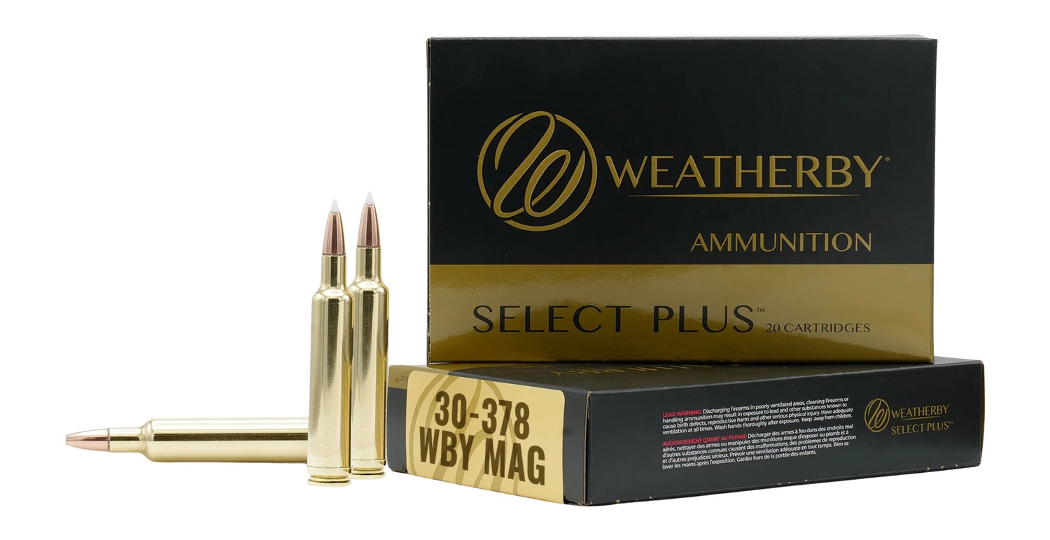 30-378WBY 195GR HAMMER CUSTOM