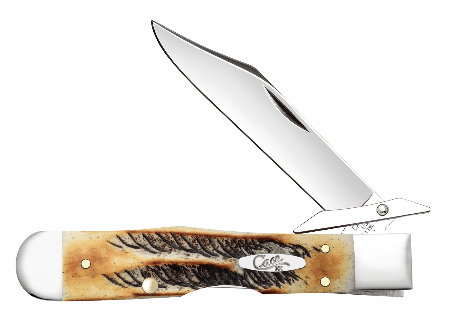 Case Cheetah Cub 6.5 Bonestag Knife