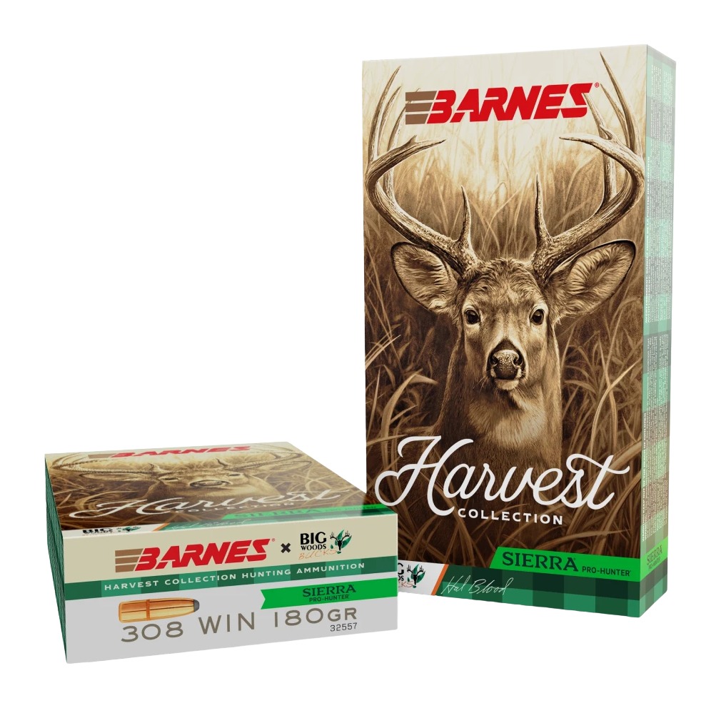 BRNS 32557  SIERRA PRO-HUNTER RN 308  180GR  20/10