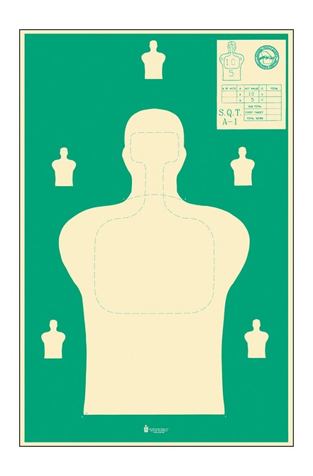 ACTION SQTA-1-100     GEORGIA PUB SAFETY     100BX