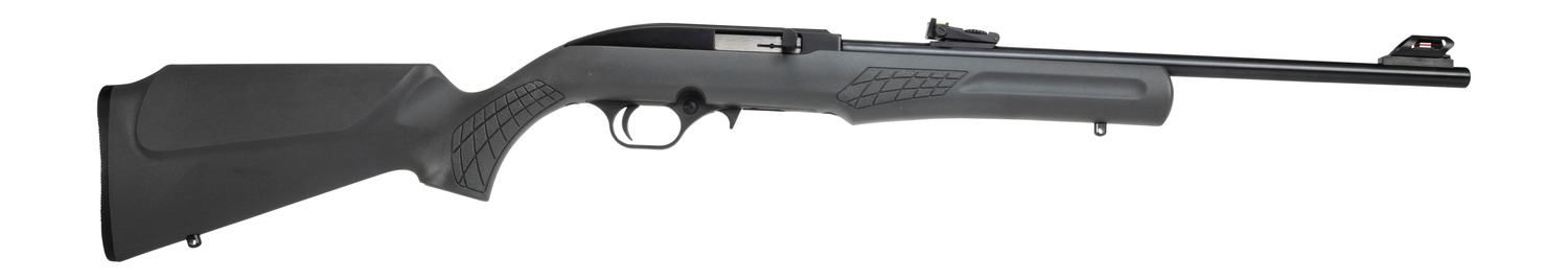 ROSSI RS22L1811G     RS22 22LR 18 10R       BK/GRY
