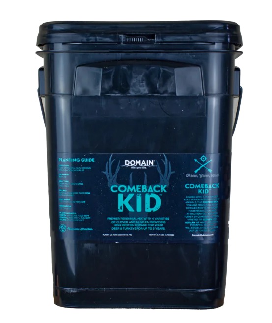 DOMAIN CBKFP375   COMEBACK KID