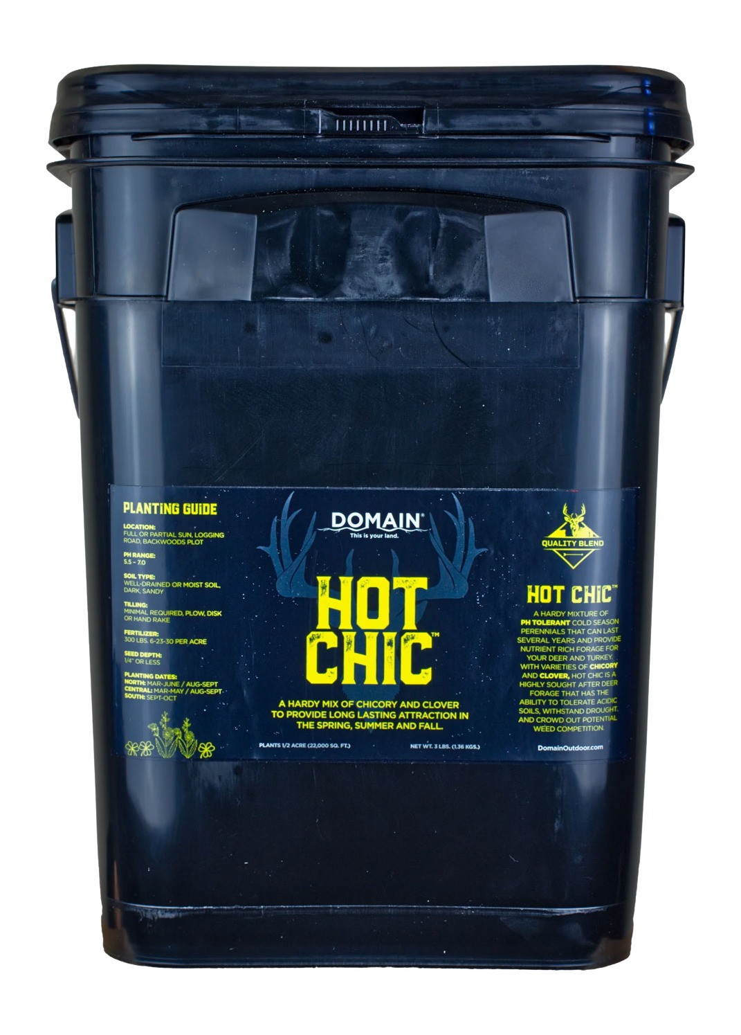 DOMAIN HCFP34     HOT CHIC